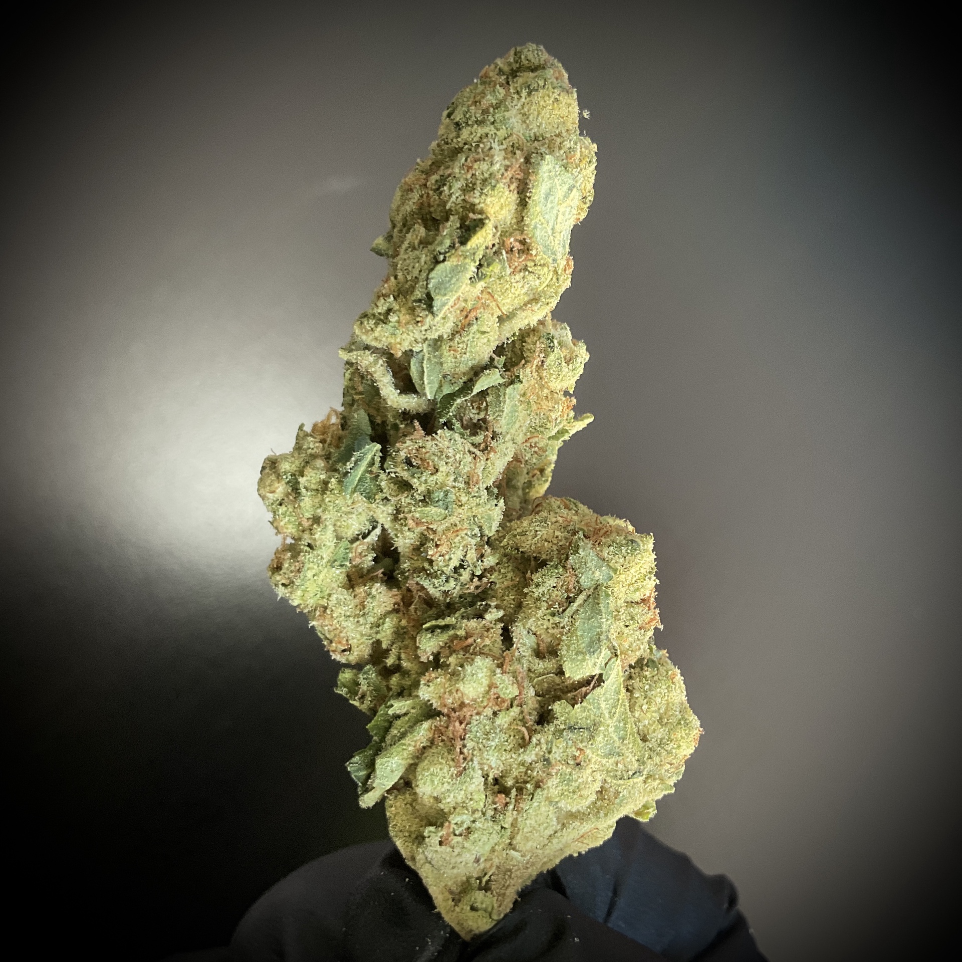 Sour Guava THCA / 1/8 oz (3.5g)